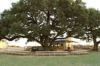 Albert Icehouse