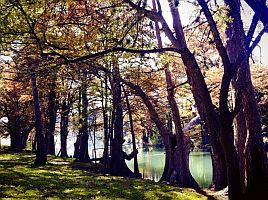 Guadalupe Near Canyon Lake