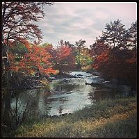 Guadalupe River