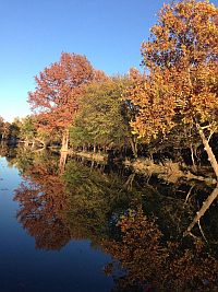 Onion Creek. Click to enlarge. Onion Creek
