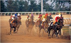 Horse Races Horse Races