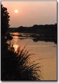 Pedernales River