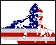 Veteran's Day