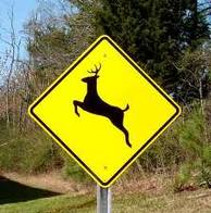 Deer Crossing Sign