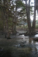 Cibolo Nature Center Cibolo Nature Center