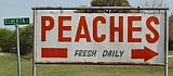 Local Peaches Over Here Local Peaches Over Here