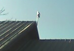 Rooftop Microwave Antenna Rooftop Microwave Antenna