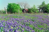 photo%20credit:%20L.%20Brandt photo%20credit:%20L.%20Brandt